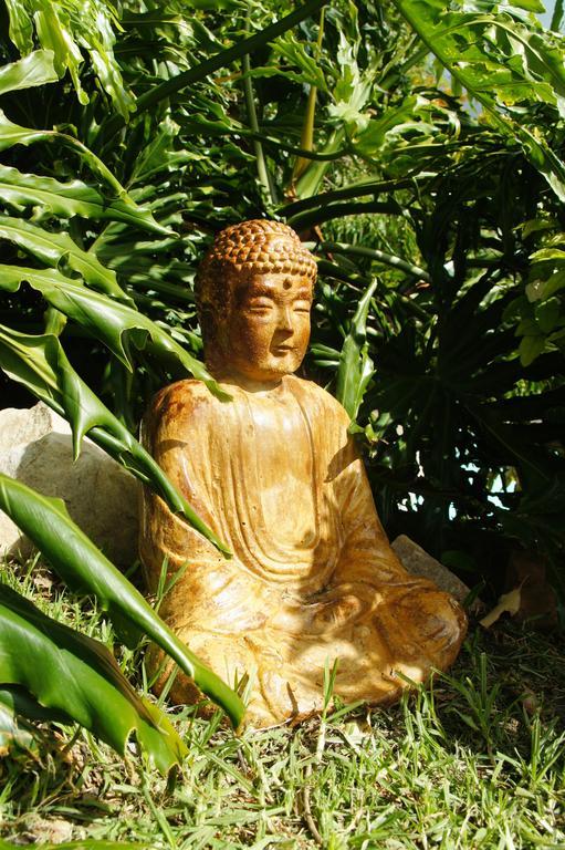Villa Barry 豪特湾 外观 照片